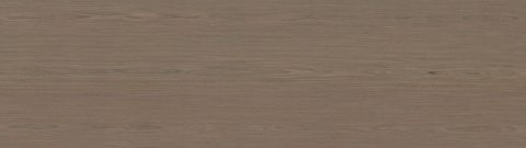 Even-Walnut-full-leaf