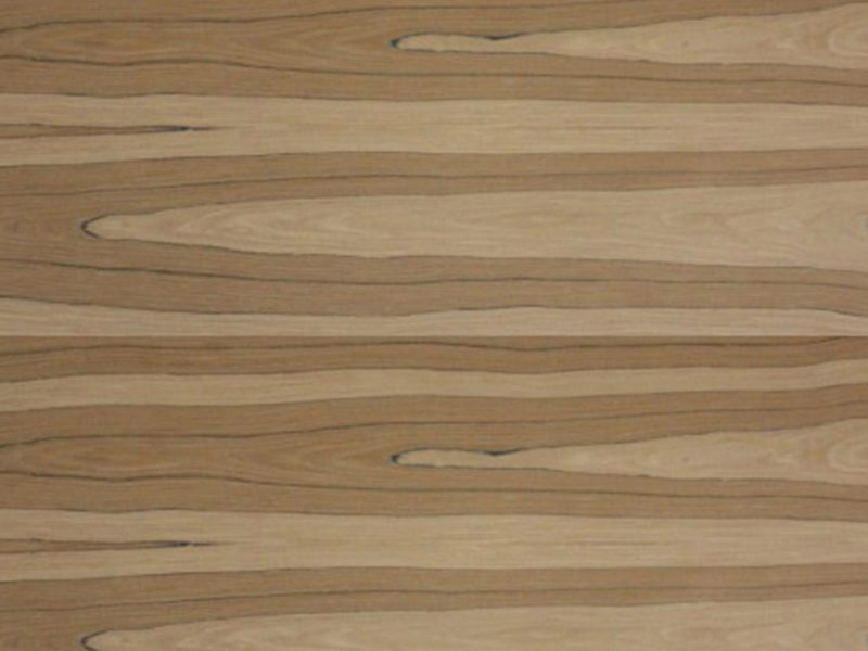 New Age Veneer – Ecosassafras