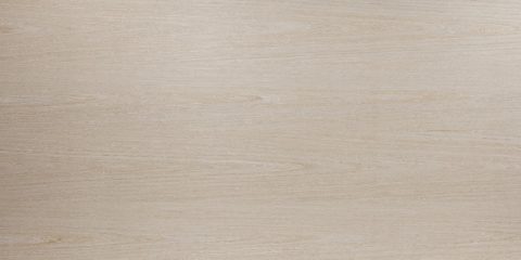 enviroven_fl_saltgum